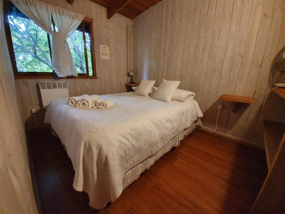 Hotel Hola Pucón Extérieur photo